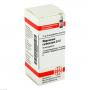 MAGNESIUM CARBONICUM D 12 Globuli