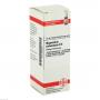 MAGNESIUM CARBONICUM D 6 Dilution