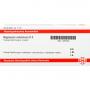 MAGNESIUM CARBONICUM D 8 Ampullen