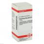 MAGNESIUM FLUORATUM D 6 Tabletten
