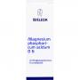 MAGNESIUM PHOSPHORICUM ACIDUM D 6 Dilution
