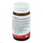 MAGNESIUM PHOSPHORICUM COMP.Globuli