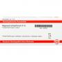 MAGNESIUM PHOSPHORICUM D 12 Ampullen