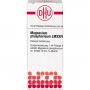 MAGNESIUM PHOSPHORICUM LM XXIV Dilution Ind.Fert.
