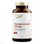 MAITAKE EXTRAKT 500 mg Kapseln