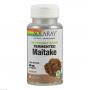 MAITAKE FERMENTIERT Solaray Kapseln