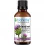 MARIENDISTEL TINKTUR