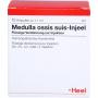 MEDULLA OSSIS suis Injeel Ampullen