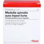 MEDULLA SPINALIS suis Injeel forte Ampullen