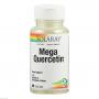 MEGA-QUERCETIN Solaray Kapseln