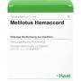 MELILOTUS HOMACCORD Ampullen