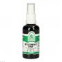 MELISSENKRAUT Spray