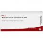 MEMBRANA sinuum paransalium GL D 12 Ampullen
