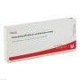 MESENCHYM/CALCIUM carbonicum comp.Ampullen