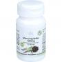 MÖNCHSPFEFFER 100 mg Tabletten