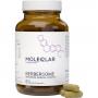 MOLEQLAR Berberine Mineral-Complex Kapseln