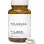 MOLEQLAR LONGEVITY Hyaluron+Glycin Kapseln
