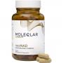 MOLEQLAR LONGEVITY regeNAD Kapseln