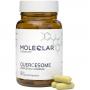 MOLEQLAR Quercesome Quercetin-C-Complex Kapseln