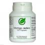 MORINGA OLEIFERA Blattpulver in Gelatinekapseln