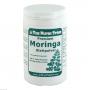 MORINGA OLEIFERA Pulver