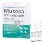 MUCOSA compositum ad us.vet.Ampullen