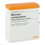 MUCOSA compositum Ampullen