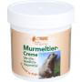 MURMELTIER CREME