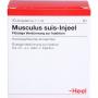MUSCULUS SUIS Injeel Ampullen