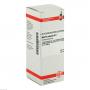 MYRRHIS odorata D 2 Dilution