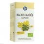 NACHTKERZENÖL 500 mg Kapseln Bio vegan