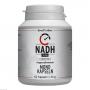 NADH 10 mg Coenzym 1 magensaftresistent Mono-Kaps.