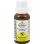 NATRIUM MURIATICUM KOMPLEX Nr.29 Dilution