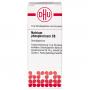 NATRIUM PHOSPHORICUM C 6 Globuli Ind.Fert.