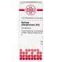 NATRIUM PHOSPHORICUM D 10 Globuli Ind.Fert.