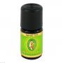 NEROLI ÖL ätherisch 10%