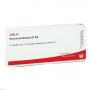 NERVUS PUDENDUS GL D 8 Ampullen