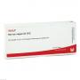 NERVUS VAGUS GL D 12 Ampullen