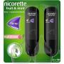 NICORETTE Fruit & Mint Spray 1 mg/Sprühstoß