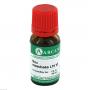 NUX MOSCHATA LM 6 Dilution