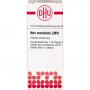 NUX MOSCHATA LM VI Dilution
