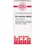NUX MOSCHATA LM XVIII Dilution
