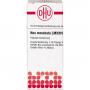 NUX MOSCHATA LM XXIV Dilution Ind.Fert.