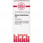 OLEUM TEREBINTHINAE C 6 Globuli Ind.Fert.