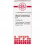 OLEUM TEREBINTHINAE C 7 Globuli Ind.Fert.