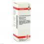OLIBANUM D 6 Dilution