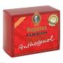 OPC ORIGINAL Masqueliers Anthogenol Kapseln OPC ORIGINAL Masqueliers Anthogenol Kapseln