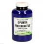 OPUNTIA FEIGENKAKTUS Kapseln
