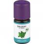 OREGANO ÖL Bioaroma Baldini
