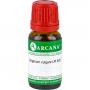 ORIGANUM VULGARE LM 17 Dilution